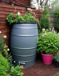 Regentonne im Garten